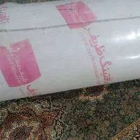 موکت فرش|موکت|سراوان, |دیوار