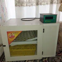 دستگاه جوجه کشی|لوازم جانبی حیوانات|گرمی, |دیوار