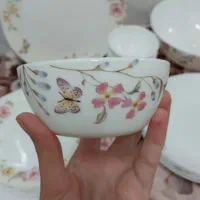 سرویس آرکوپال  در حد نو|ظروف سرو و پذیرایی|قم, چهل درخت‎|دیوار