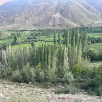 زمین کشاورزی قابل ساخت تا ۵۰ الی ۶۰ متر|فروش زمین و ملک کلنگی|بلده, |دیوار