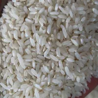 برنج لنجان  و دوقد