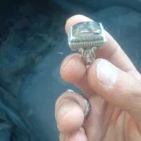 فروش انگشتر|جواهرات|نقده, |دیوار