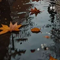 کیف حاوی نوار کاست پیدا شده