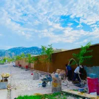 کاهگل سنتی ضداب با بوی خاک|خدمات پیشه و مهارت|ساری, |دیوار