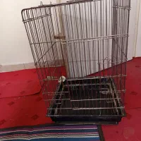 سه عدد قفس خشکل و درجه یک