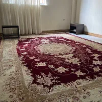 فرش ۹ متری ۷۰۰ شانه مشهد|فرش|رشت, گلسار|دیوار