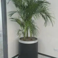 خدمات باغبانی و اجرای فضای سبز