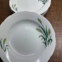 بشقاب گل گندمی و اردو خوری سوکا|ظروف سرو و پذیرایی|تهران, شهرآرا|دیوار