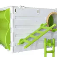 لونه عروس هلندی