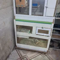 قفس پرنده|لوازم جانبی حیوانات|بندر ماهشهر, |دیوار