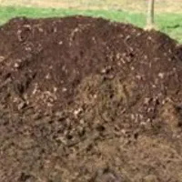 کودگاوی خشک بدون خاک اره|لوازم جانبی حیوانات|ماسال, |دیوار