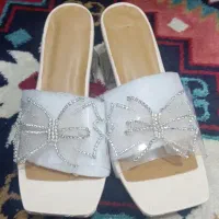 دمپایی مجلسی|کیف، کفش، کمربند|میناب, |دیوار