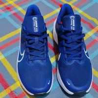 کتونی اصلی|کیف، کفش، کمربند|رشت, معلم|دیوار