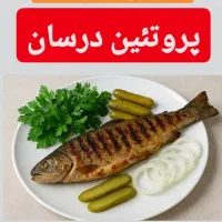 نیازمند گارگر مرغ فروشی