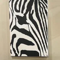 تابلو دکوراتیو مدرن  طرح گورخر نو