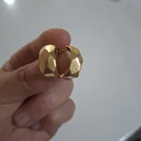 گل گوش طلا