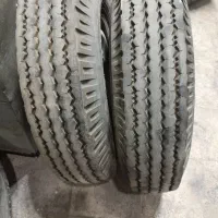 لاستیکنیساندنا