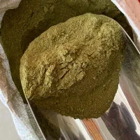 کارگر ساده|استخدام خدمات فروشگاه و رستوران|شیراز, گلشن|دیوار