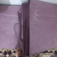 موکت نونو|موکت|شازند, |دیوار
