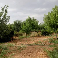 تجربه ای ناب ازطبیعت وسرمایه گذاری مطمئن|فروش زمین و ملک کلنگی|الیگودرز, |دیوار