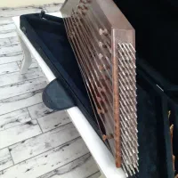 سنتور خوش صدا|سازهای سنتی|رشت, پل تالشان|دیوار