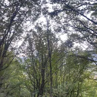 ویلایی دو طبقه هر طبقه ۱۲۵ متر در مهدیشهر