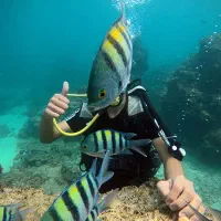 تخفیف ویژه پاراسل و شاتل کیش