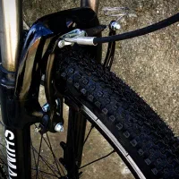 دوچرخه ویوا|دوچرخه، اسکیت، اسکوتر|چالدران, |دیوار