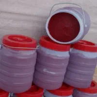 رب خانگی
