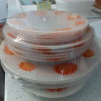 ظرف ارکوپال