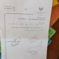 زمین مسکونی تفکیک دوم دارد باباشگاه جدید  200متر|فروش زمین و ملک کلنگی|تکاب, |دیوار