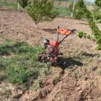 علف زنی وپاکنی باغهاوباغچها وگلخانها|خدمات باغبانی و درختکاری|صدرا-فارس, |دیوار