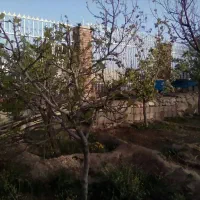 ویلای دوبلکس دهکده پزشکان|اجارهٔ خانه و ویلا|ماهان, |دیوار