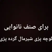 ملک برای تاسیس نانوایی بجز نان لواش