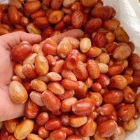 سنجد خشک شده|حراج|خرمدره, |دیوار