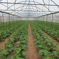 فروش ۲ هکتار