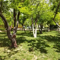 زمین-باغشهری-1000-متری-کودیان