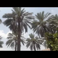 فروش باغ شهری  شهرستان خفر متراژ دلخواه شما