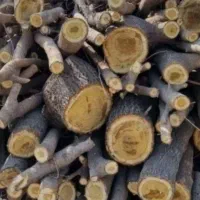 خرید چوب