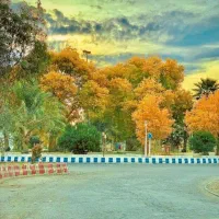 زمین-فروشی
