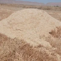کاه درجه یک