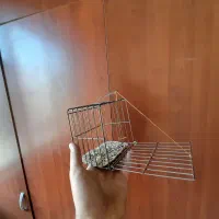 قفس(تله سهره)