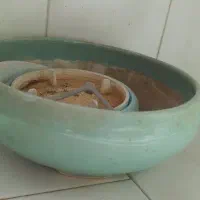 تعدادی گلدان