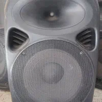 باند پستیو سیلور
