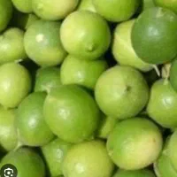 لیمو ترش درجه یک