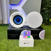 سیستم صوتی سقفی مناسب فضای پذیرایی ۲۰۰ وات