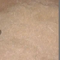 کاه گندم تناژ بالا آماده زیر قیمت