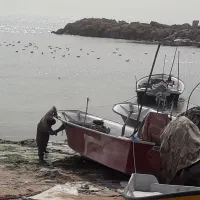 تور دولمی لنگری خیط 040