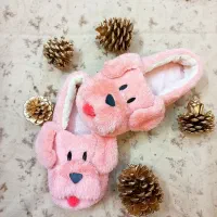 پاپوش زمستانی