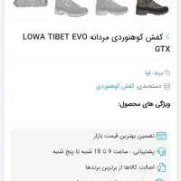 کفش کوهنوردی مارک لوا آلمان|کوهنوردی و کمپینگ|ماهدشت, |دیوار